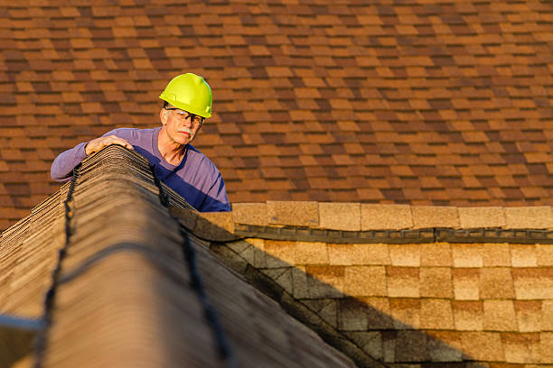 Best Roof Gutter Cleaning  in Tunnel Hill, GA